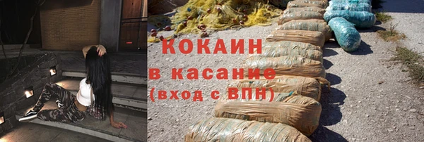 Альфа ПВП Лагань