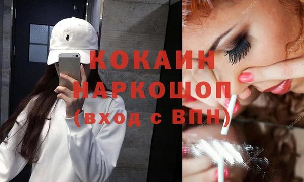Альфа ПВП Лагань