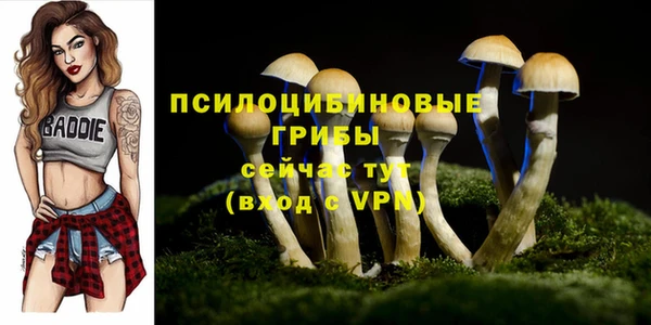 ПСИЛОЦИБИНОВЫЕ ГРИБЫ Кулебаки