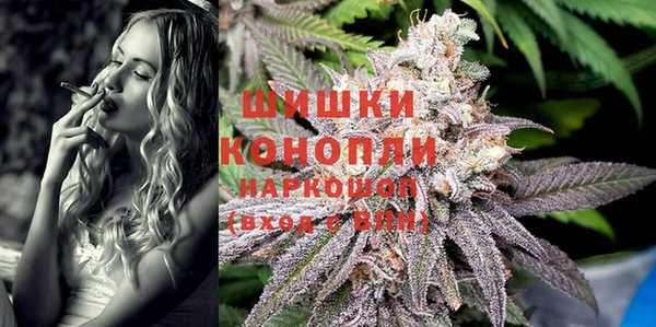 ПСИЛОЦИБИНОВЫЕ ГРИБЫ Кулебаки