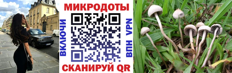 Галлюциногенные грибы мицелий  Липецк 