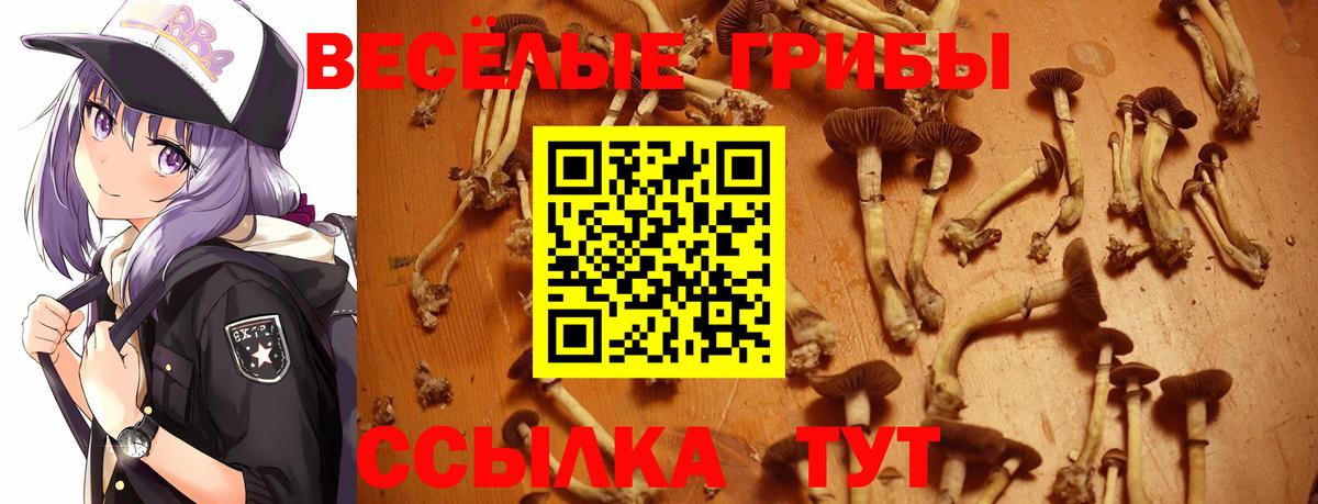 Липецк  Галлюциногенные грибы Cubensis  цена наркотик  Вход с VPN 