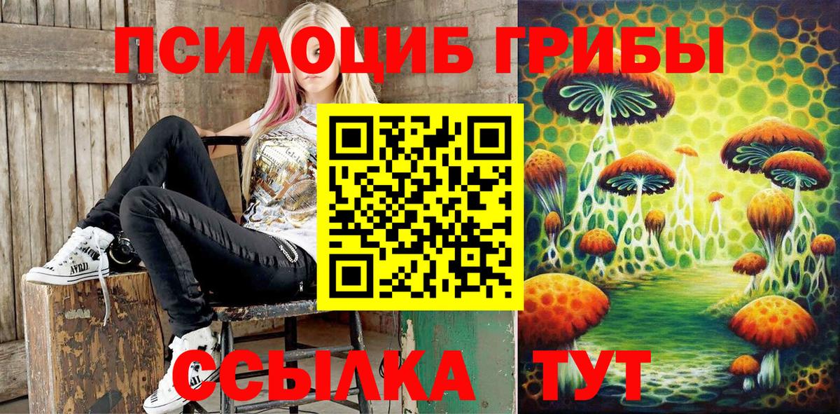 купить наркотики цена  Липецк  Галлюциногенные грибы Psilocybe 